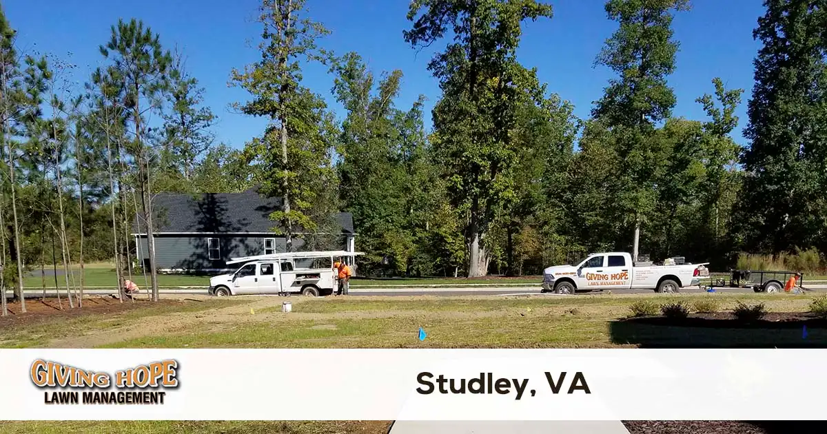 Studley