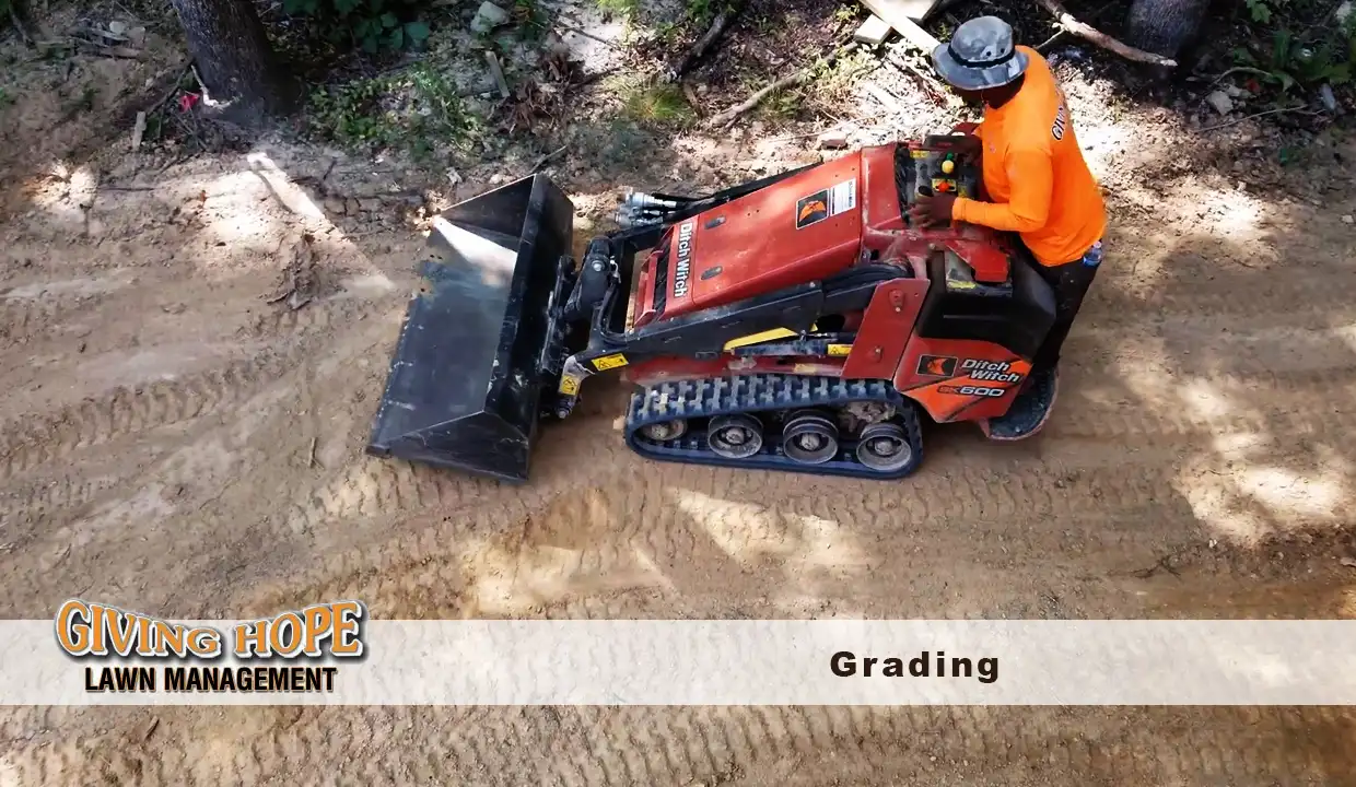 Grading & New Lawn Installation