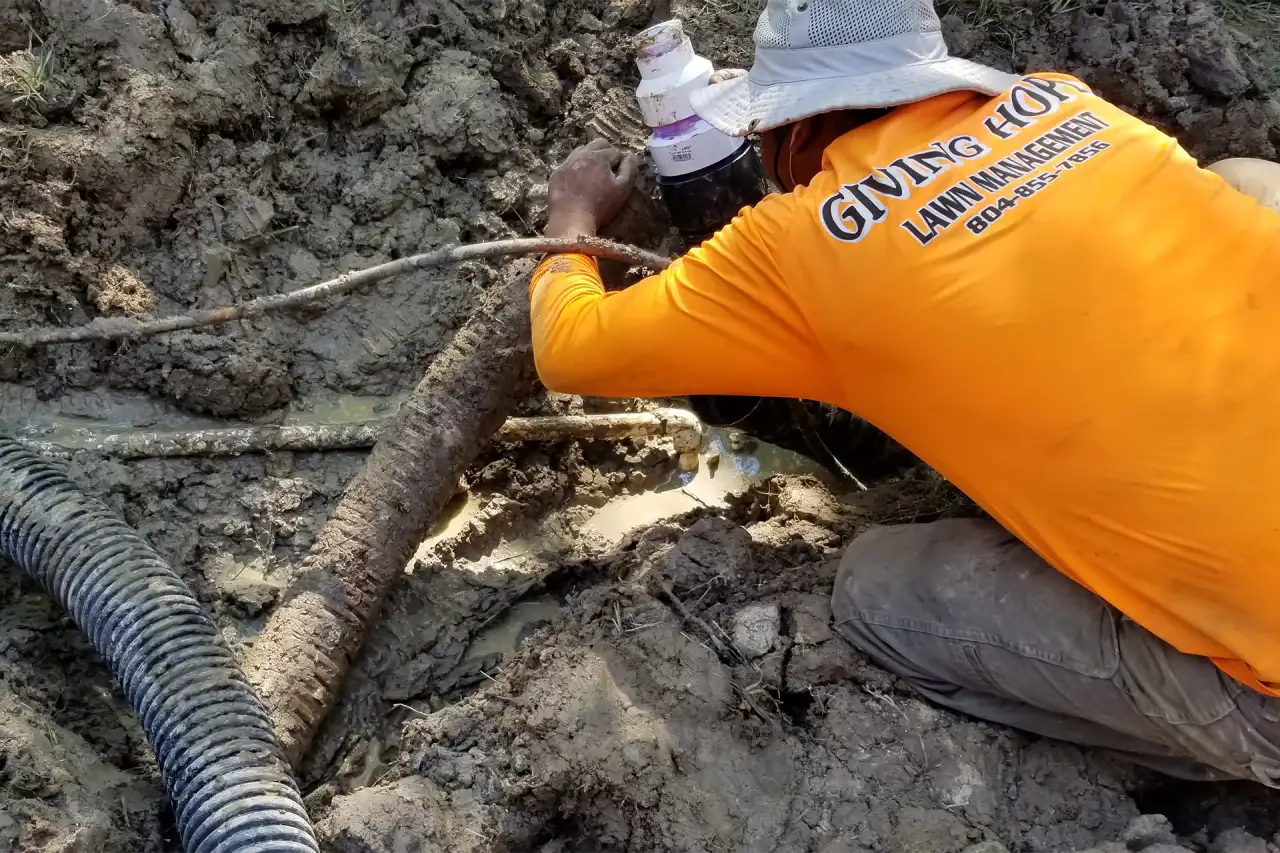 Standing water drainage control in a Glen Allen yard