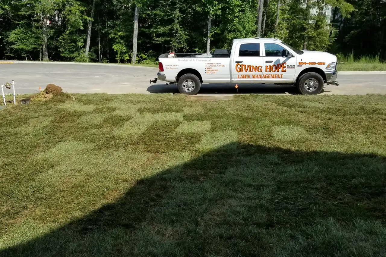 Richmond VA area lawn showing the kind of cool-season turf Giving Hope Lawn Management diagnoses for brown patch and dollar spot disease across Mechanicsville and Glen Allen properties