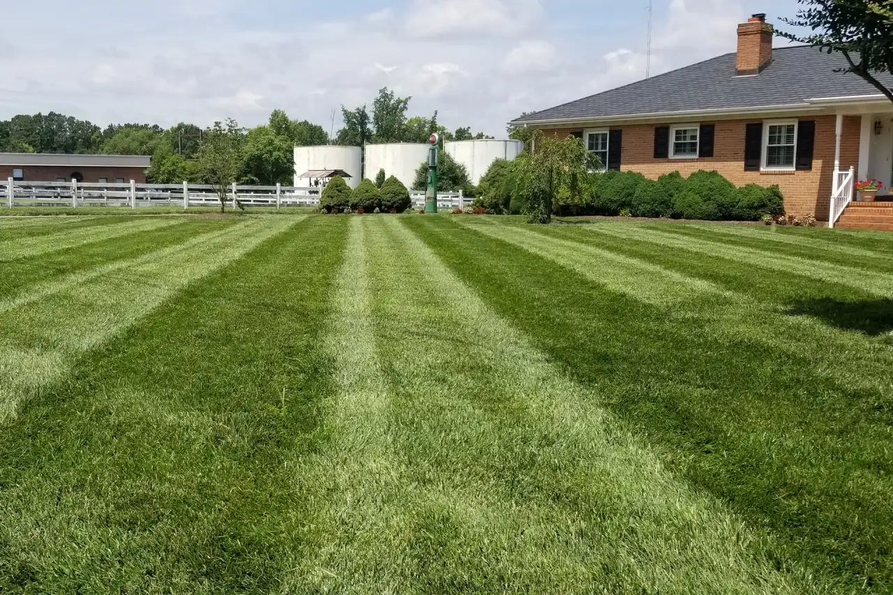 Lawn care service in Richmond VA