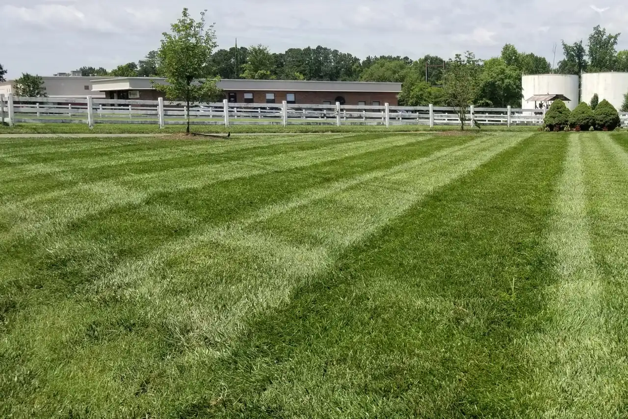 Commercial lawn mowing service in Richmond VA