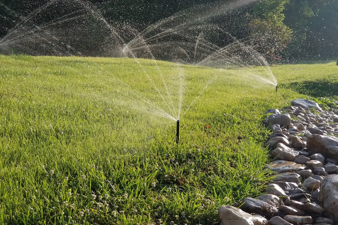 Sprinkler running on a Richmond area lawn during the early morning watering window that protects against summer disease pressure
