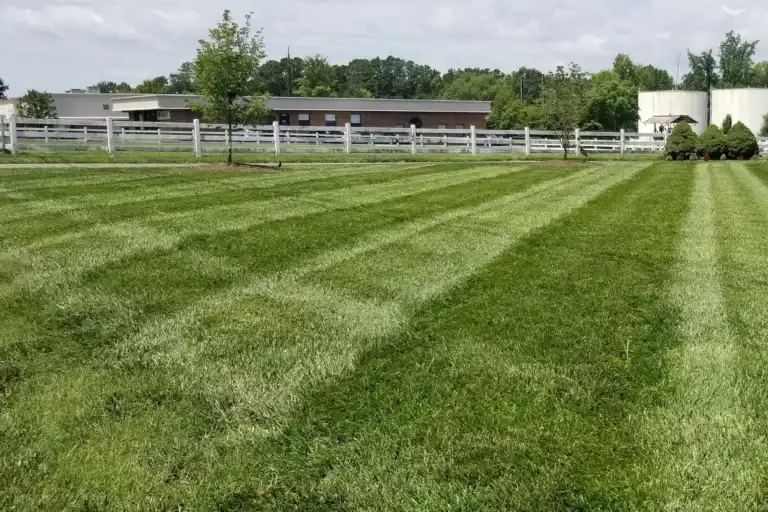 Commercial Lawn Mowing