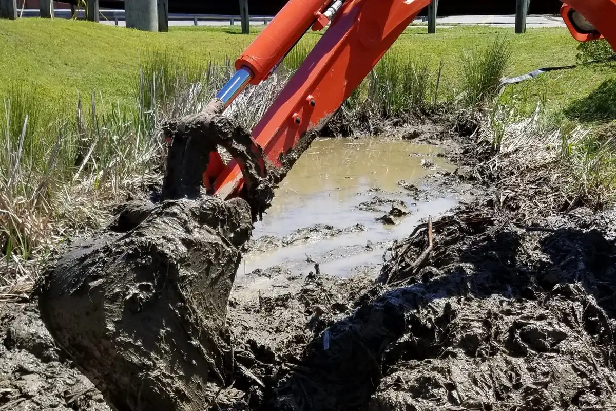 Standing Water and Soggy Spots: Why Fall Is the Time to Fix Your Richmond Yard's Drainage