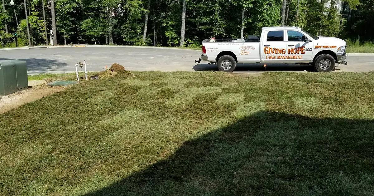 How Professional Sod Installation Works, Step by Step