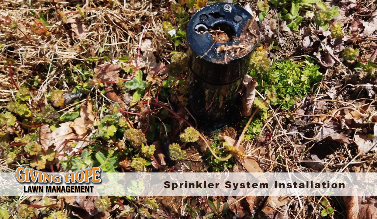 Irrigation System Installation