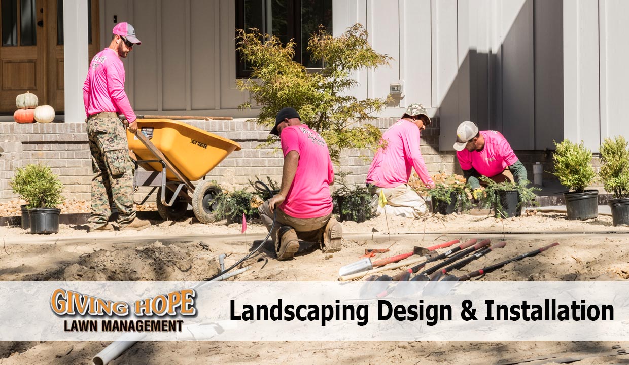 Landscape Design & Installation