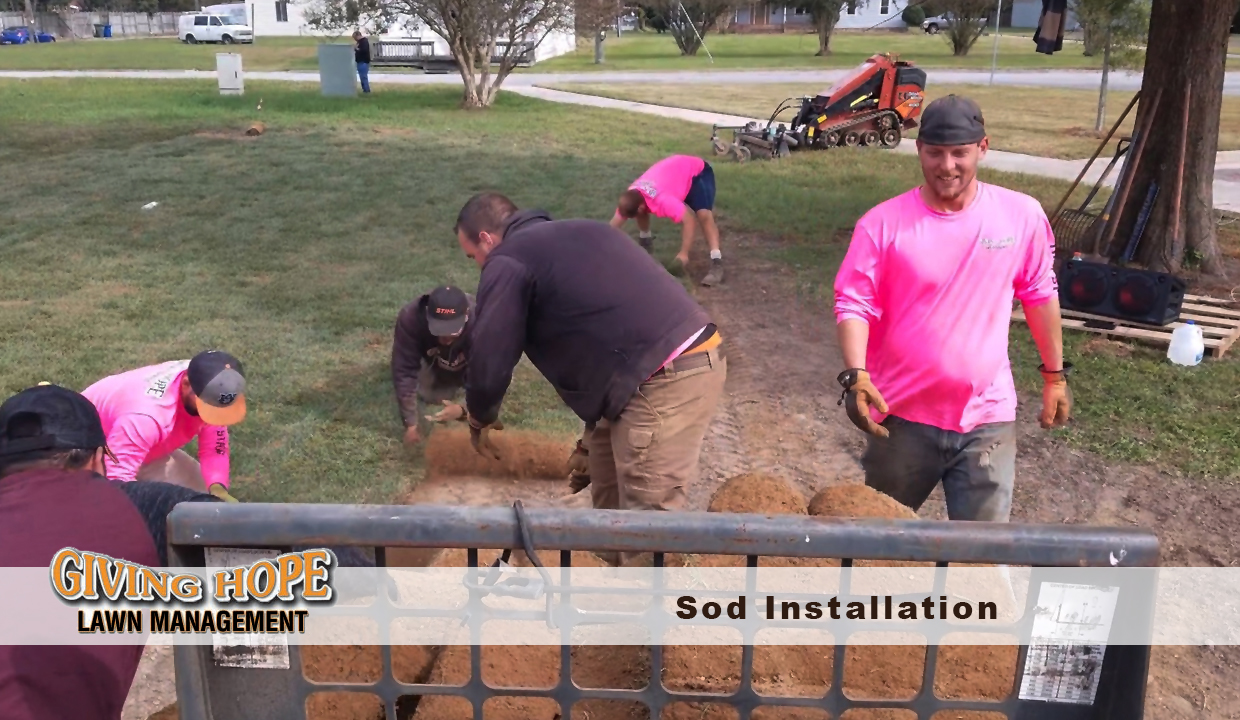 Sod Installation